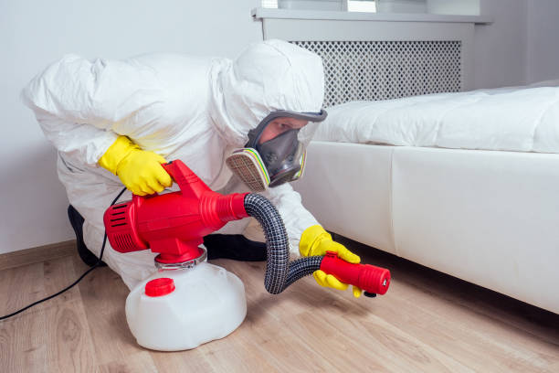 Flea Control Services in Lakewood, CO