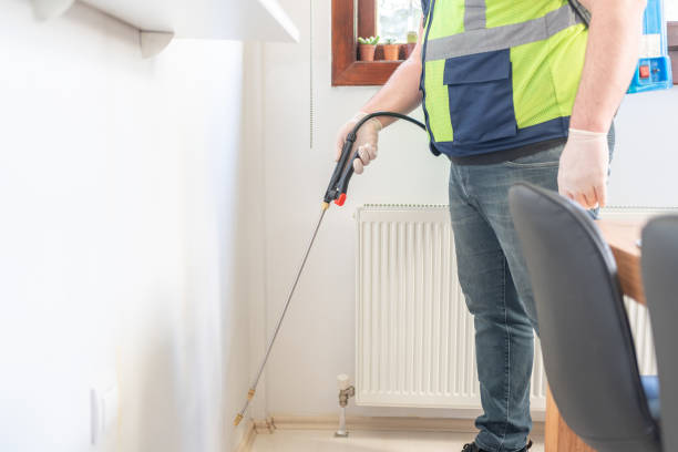 Best Mosquito Control Services  in Lakewood, CO