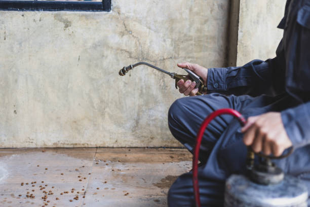 Best Best Pest Control Companies  in Lakewood, CO